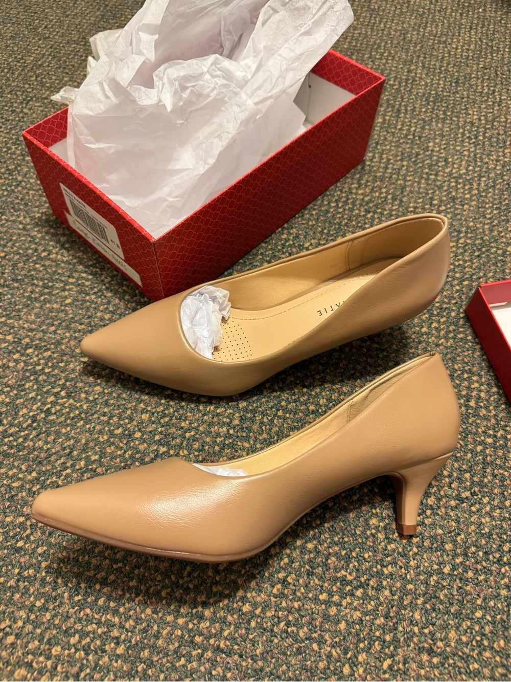 Kelly & Katie Nude Pointed-Toe Low Heel Pumps